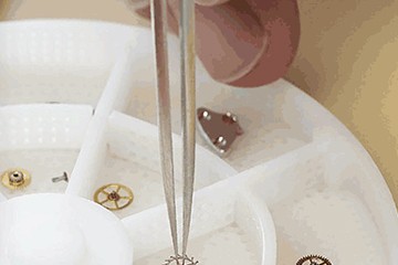 为什么东莞江诗丹顿越走越快